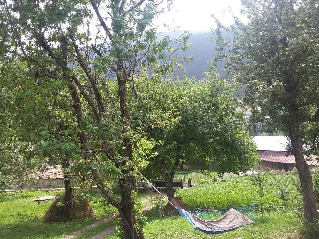 Guest House Adelina Mestia Extérieur photo