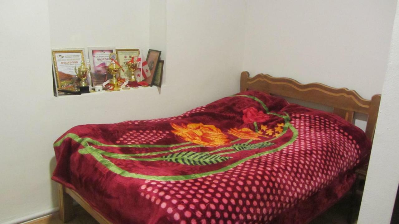 Guest House Adelina Mestia Extérieur photo